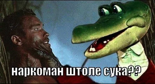 13485411085208.webp