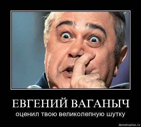 13503963964413.webp