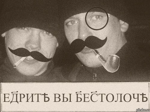 13505639943060.webp