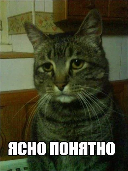 13520475086737.webp