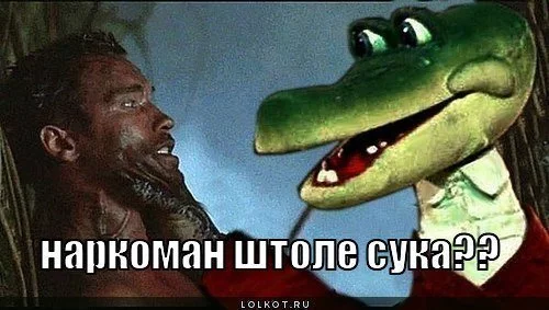 135256006733.webp