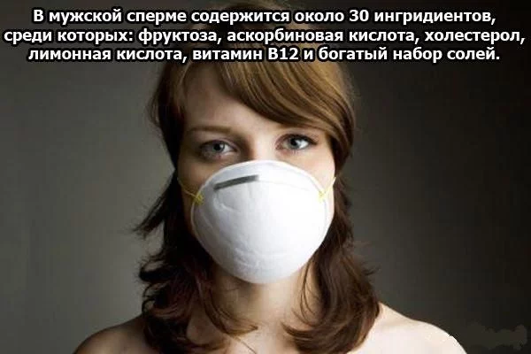 135274_230483.webp