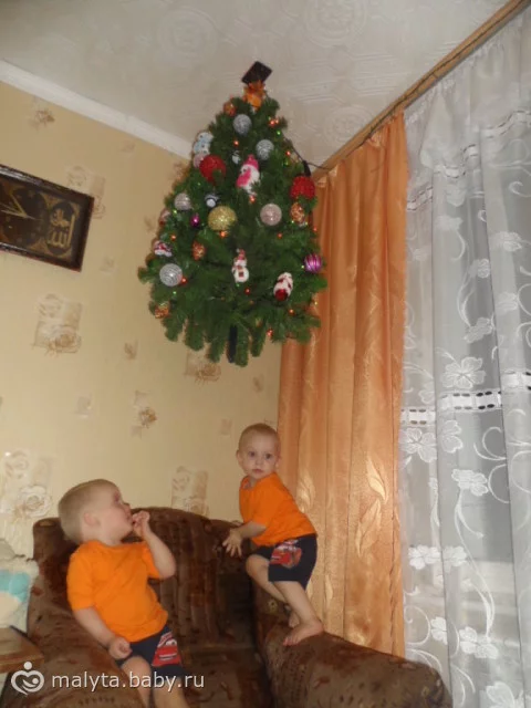 135774349.238204835.webp