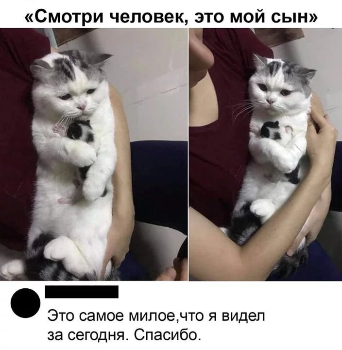 13578cf2cfbb91209f5e3.webp
