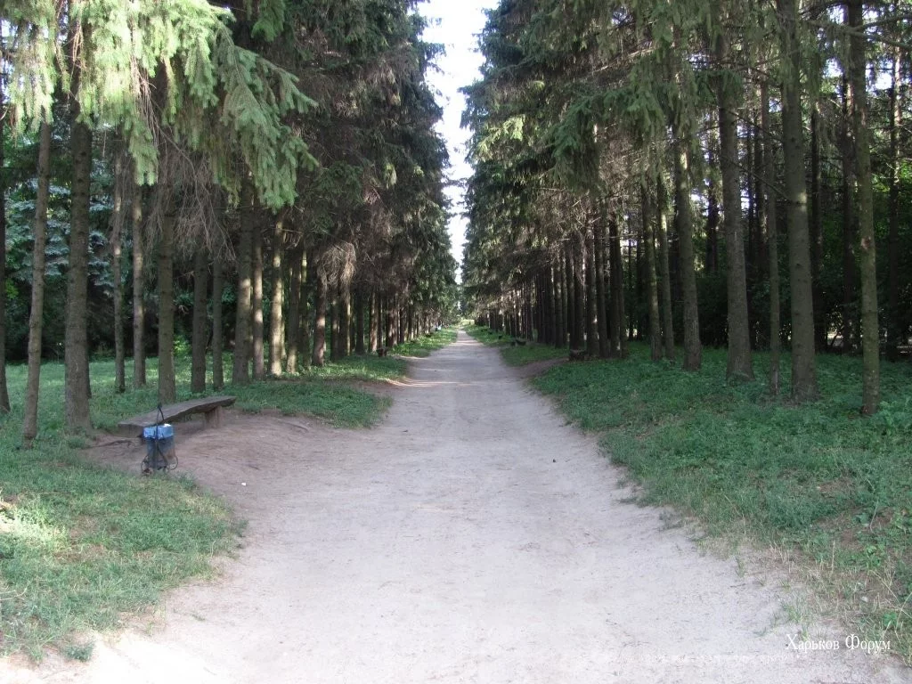 135902082f4cfb30.webp