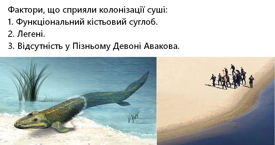 13591497_original.webp