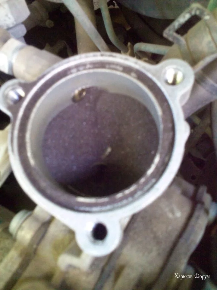 135ea8e673f5d9ae9fd1fa04.webp