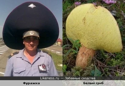 1360148178.webp