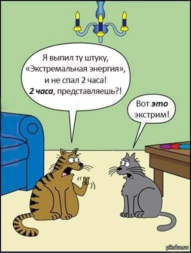 1360551894_1535938856.webp