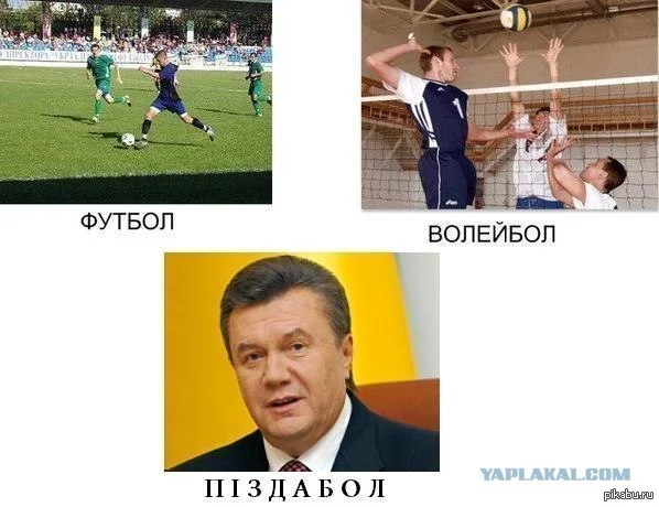 1361278001_1009677570.webp
