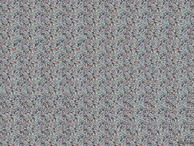 1361520220_112180541.webp