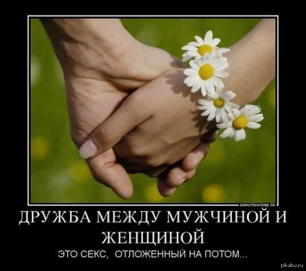 1361804757_406103254.webp