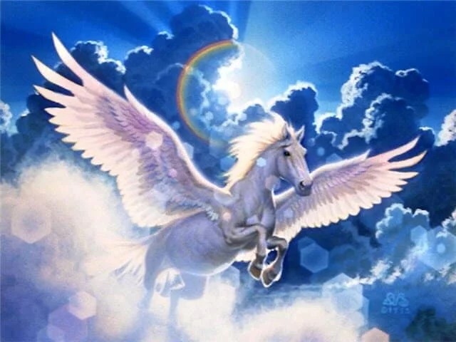 136181675651cb7c4384c8.webp