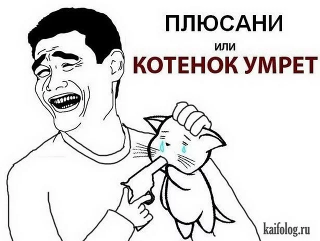 1363239438_060.webp