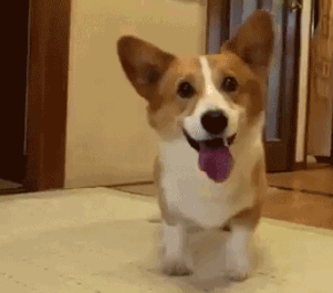 1363547022_1808545090.gif