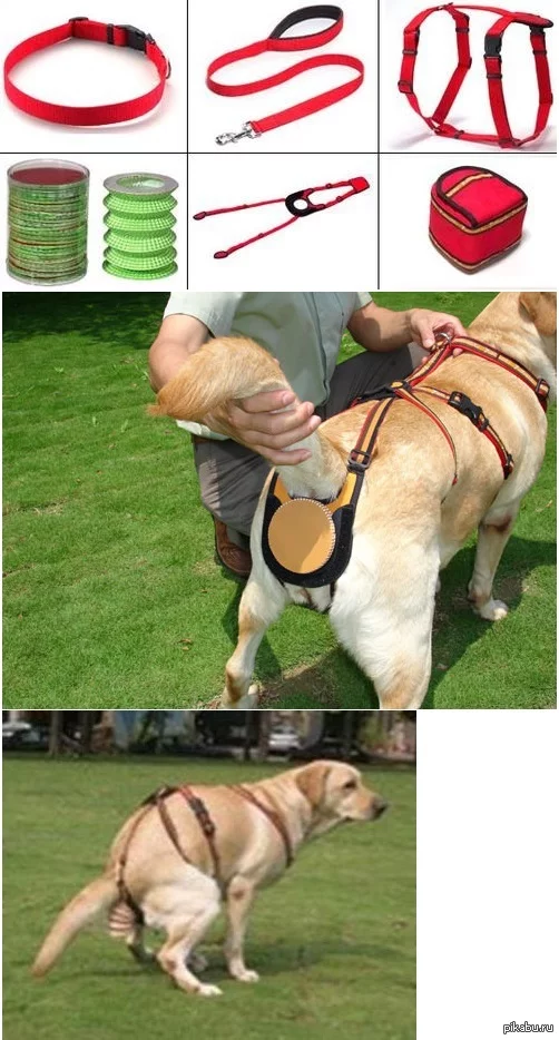 1364417073_580797991.webp