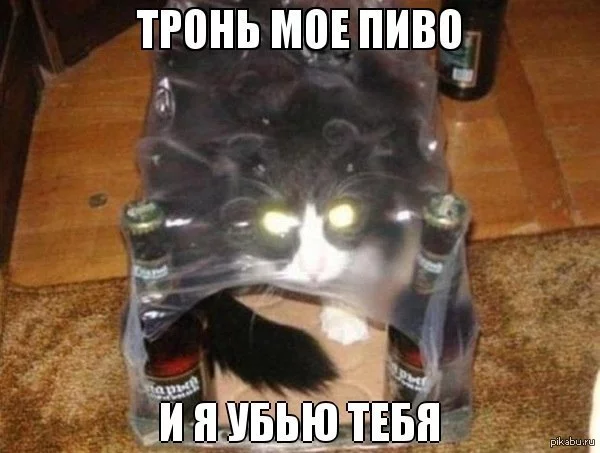 1364898008_914320201.webp