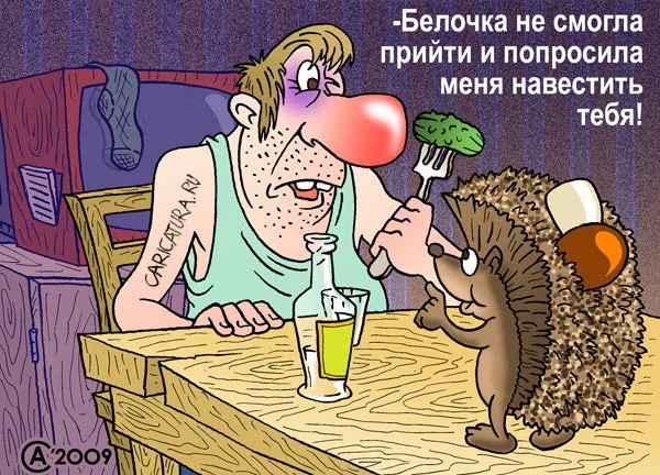 13649.webp