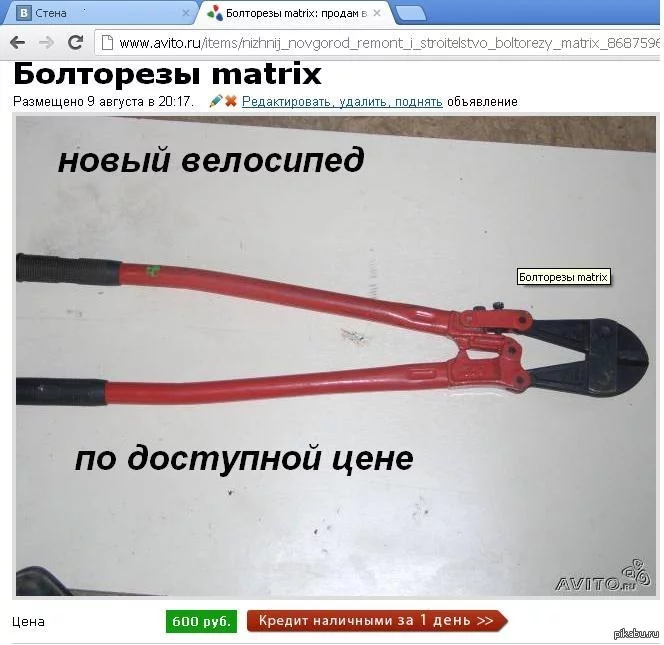 1365064156_51735146.webp