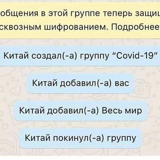 13653519_original.webp
