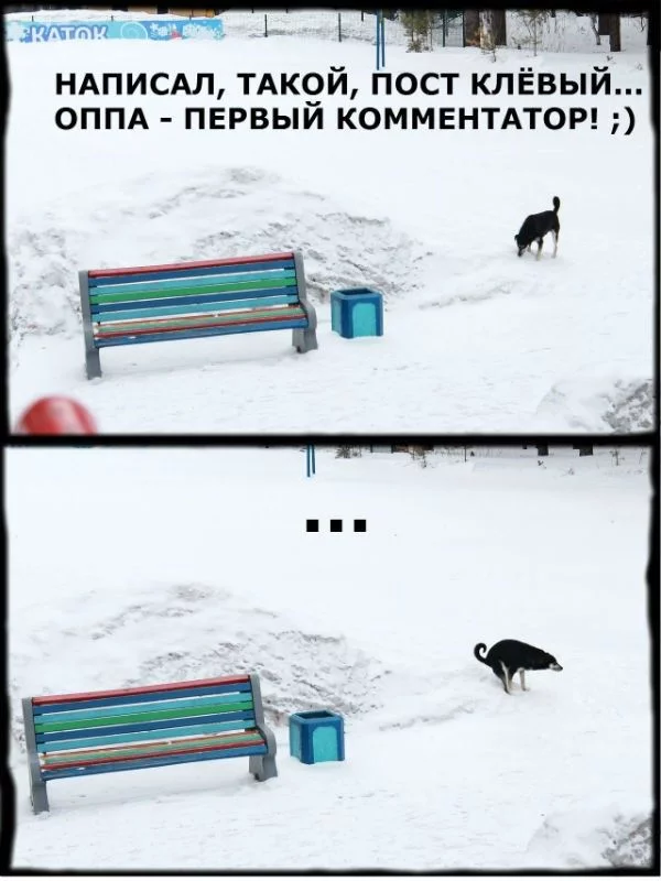 1365429434_podborka_48.webp