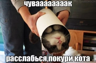 13654491446354.webp