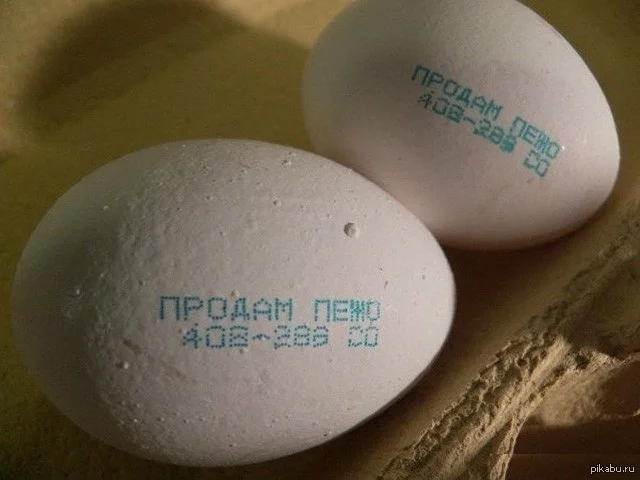 1365504287_837418299.webp