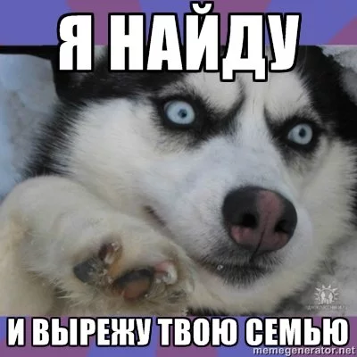 13658276491358.webp