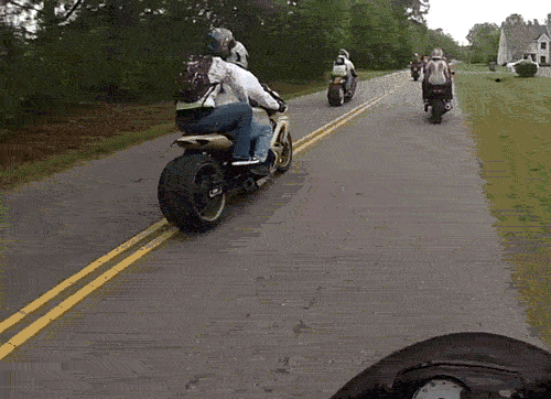 1366038901_1021558987.gif