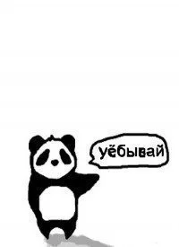 13665319929664.webp