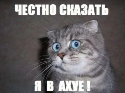 13669631042654.webp