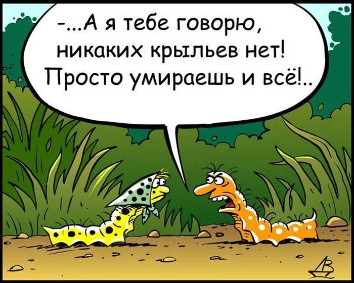 1367321528_11.webp
