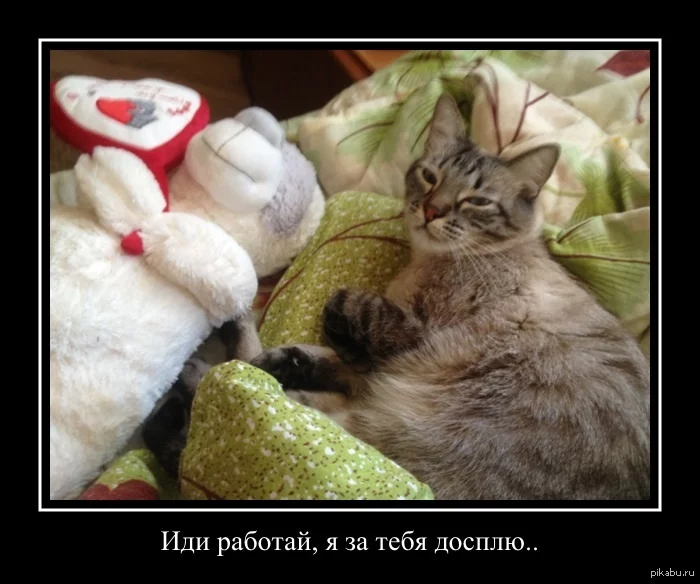 1367562793_1472009065.webp
