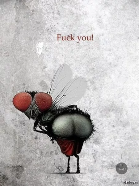1368487990_331132720.webp