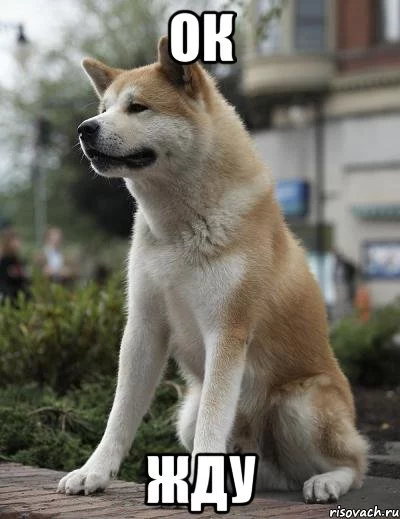 13687179985572.webp