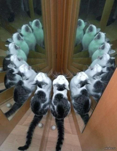 1368967949_1163645984.webp