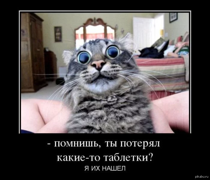 1369980951_1900254754.webp