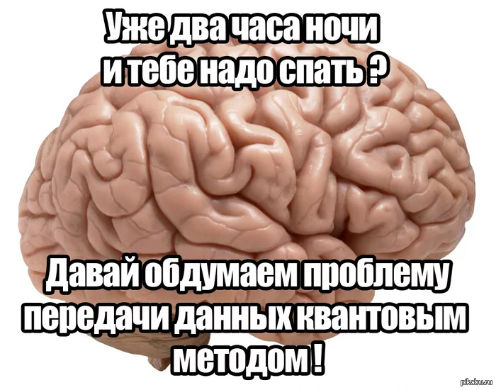 1369992508_1811910180.webp