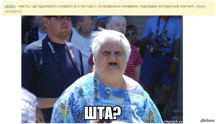 1371366799_127682772.webp