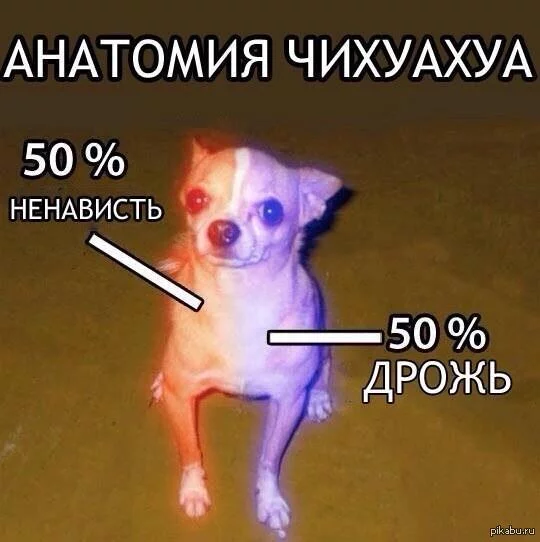 1371452610_1140134286.webp