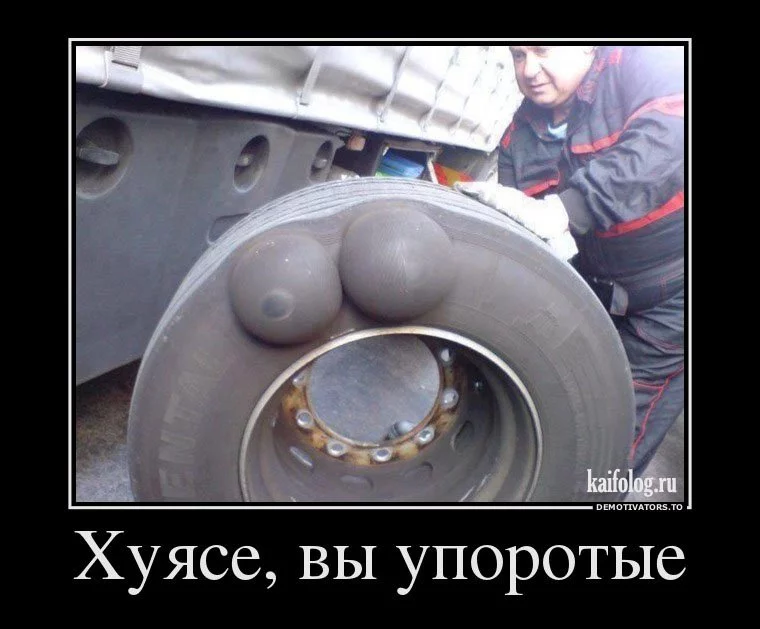 1371535898_040.webp