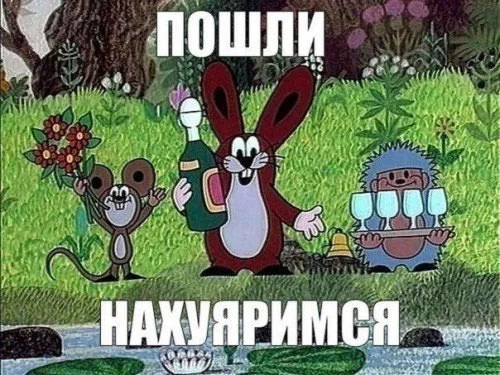 1372256.webp