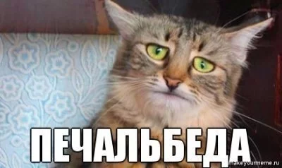 13726414102250.webp
