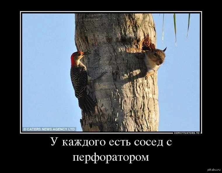 1372656417_1505064261.webp