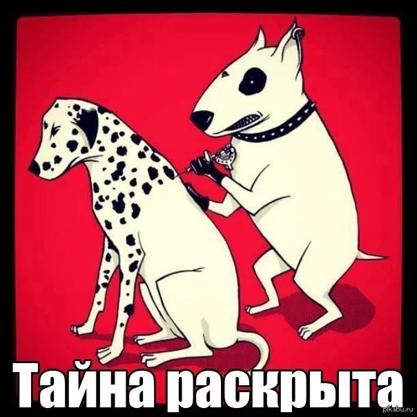 1373006983_492527762.webp