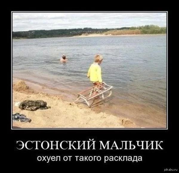 1373716015_479583109.webp