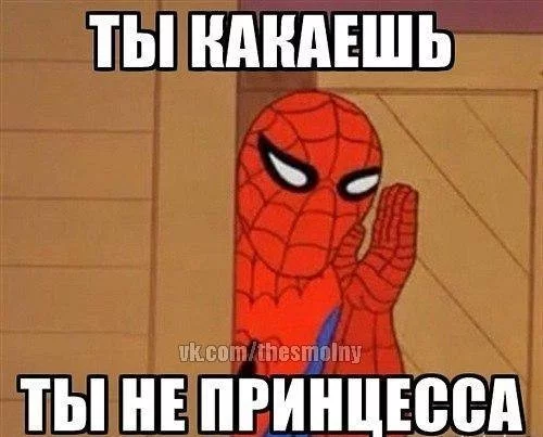 13737954531218.webp