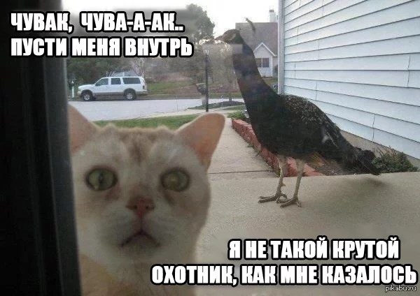 1373819119_752604357.webp
