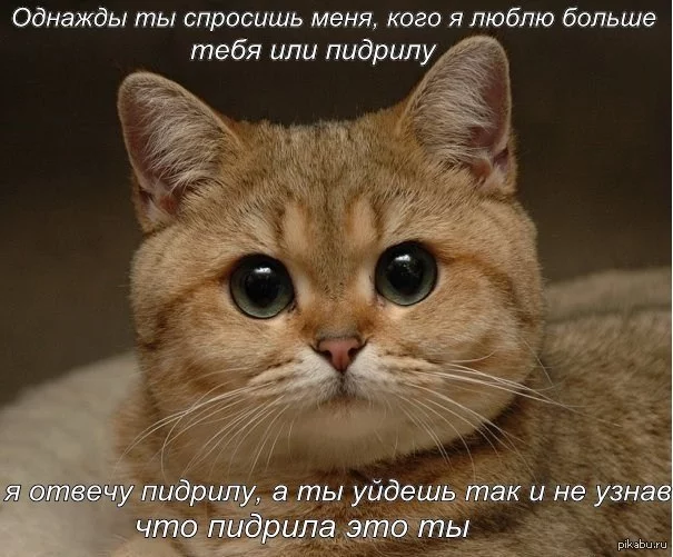 1374648455_1150484726.webp
