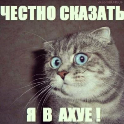13753053629933.webp